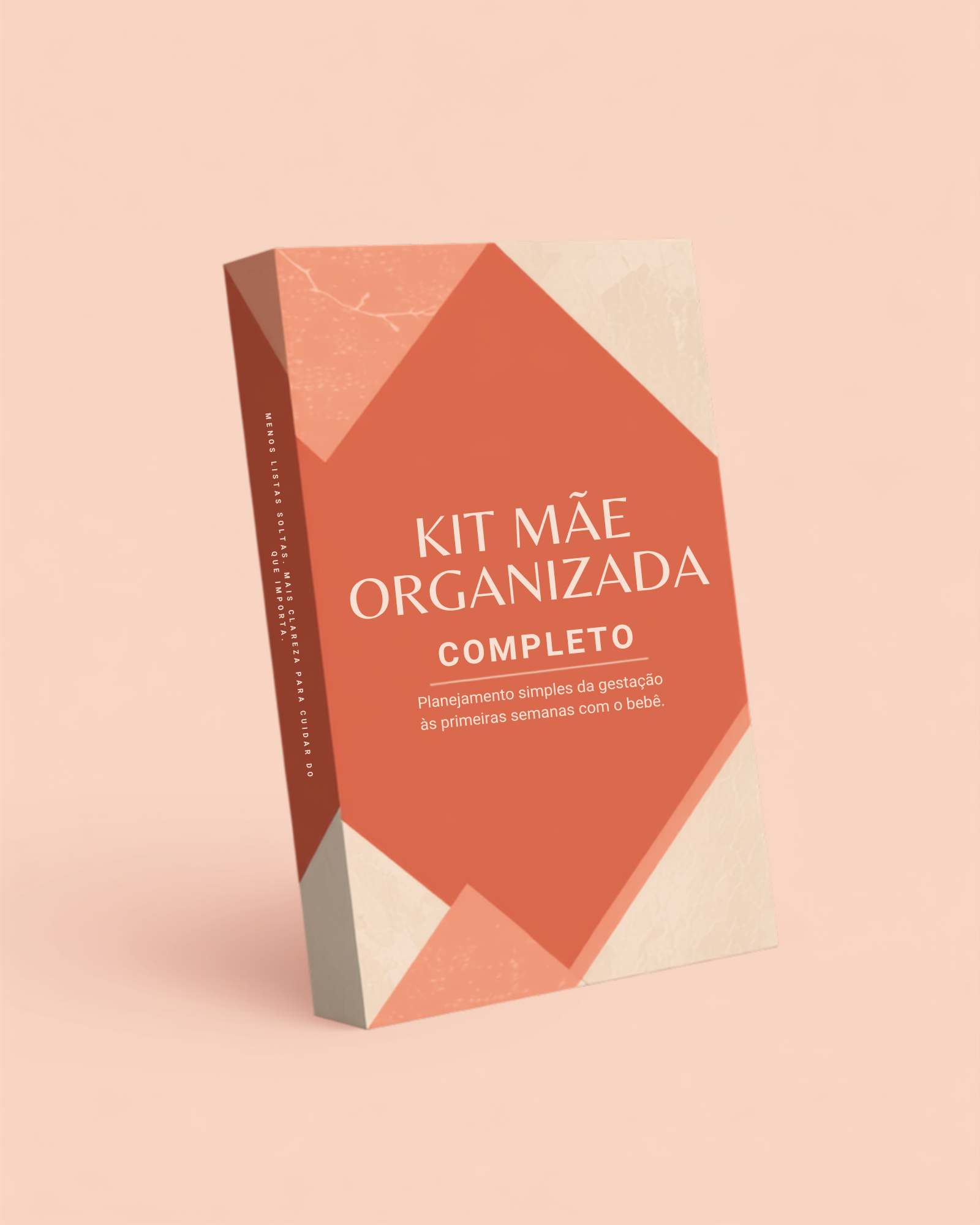 Curso Mãe Organizada Completo